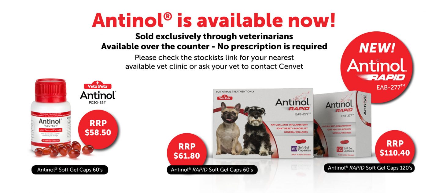 Antinol is now available - Vetsfirstchoice