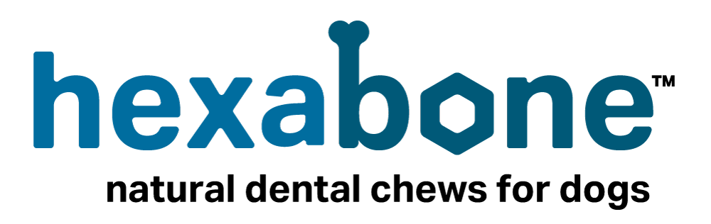 Logo-hexabone-w-tag